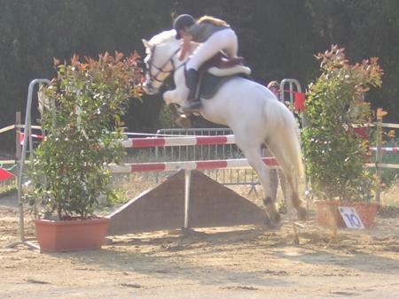 concours elfes