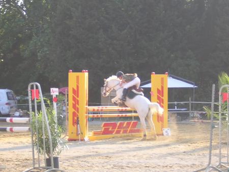 concours elfes