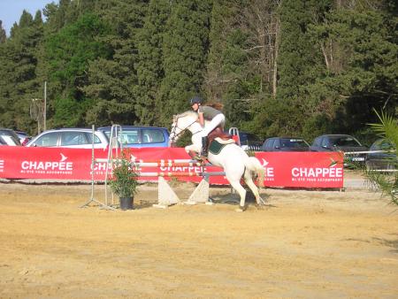 concours elfes