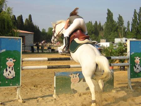 concours elfes