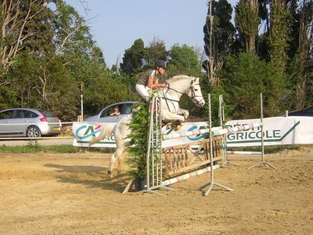 concours elfes