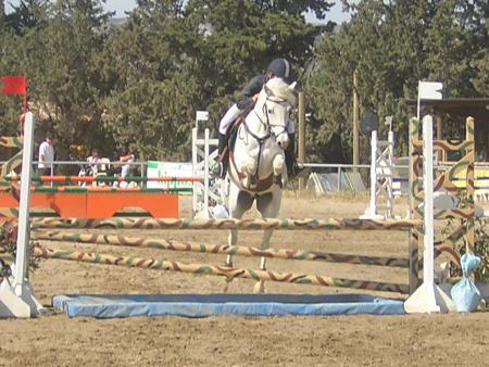 la d1c a berre